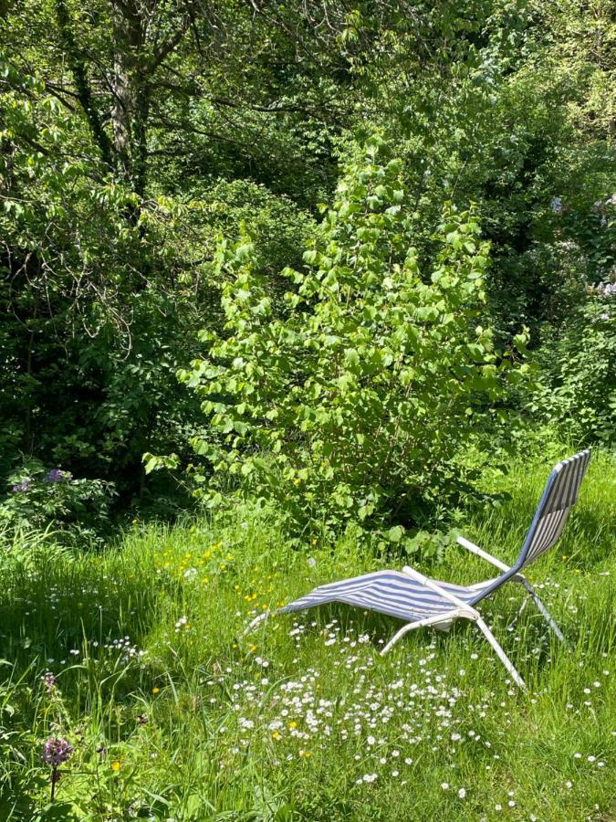 Ferienwohnung Suedliche Weinstrasse Zwischen Wald Und Reben Klingenmünster Extérieur photo